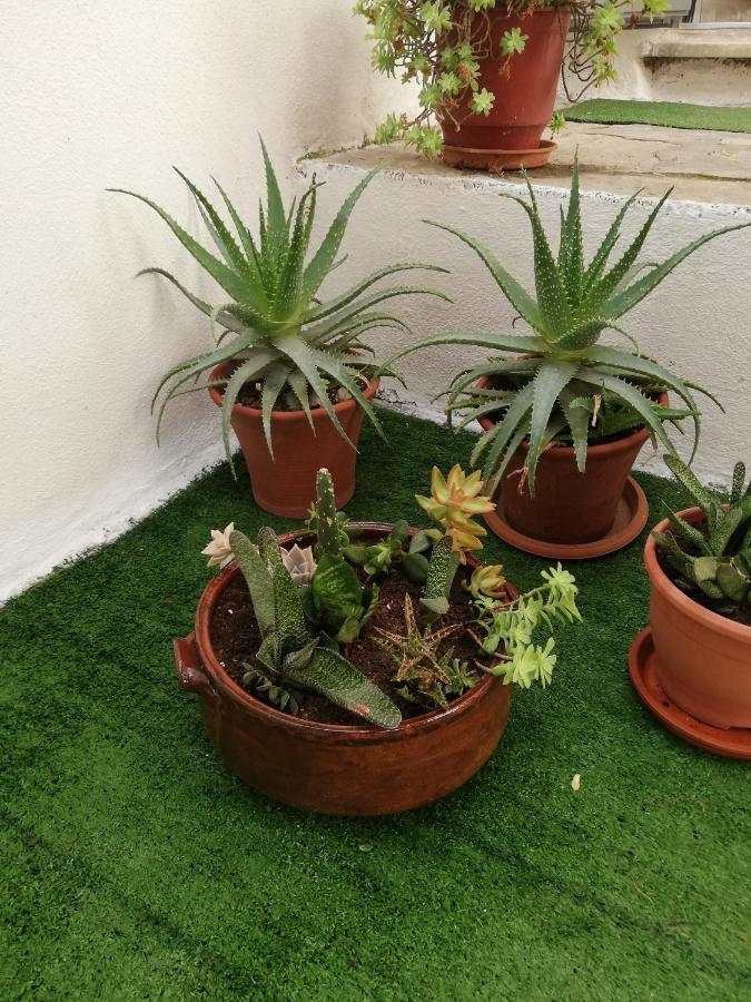 וולוס Relaxing Home! מראה חיצוני תמונה